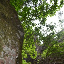 How Do You Know When Your Work in Progress Is&nbsp;Ready?