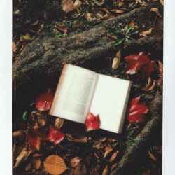 A Good Book Is a Good Friend … and Authors Make Great&nbsp;Friends