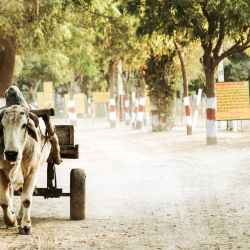 How My Work-from-Home Journey&nbsp;Began