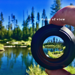 What Is Point of View in a&nbsp;Novel?